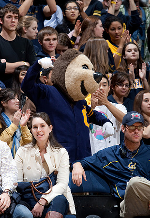 Cal Men's Soccer vs Stanford