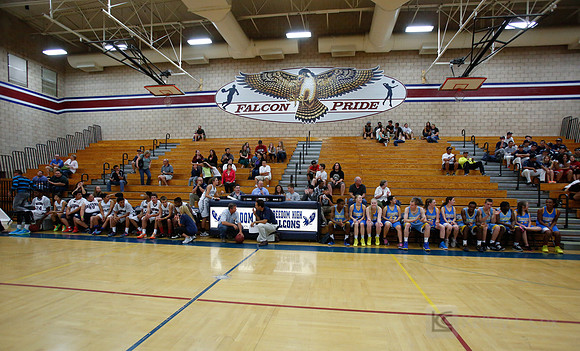 Unified Sports: Basketball