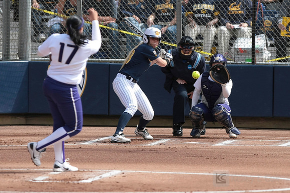 Softball: Washington vs Cal