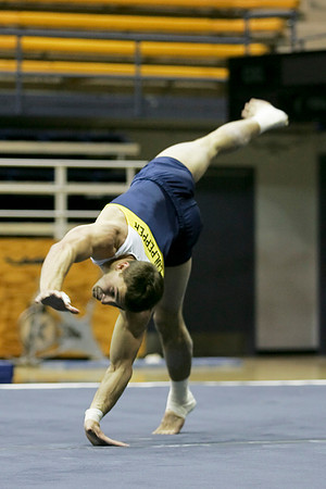 Cal Men's Gymnastics vs Stanford