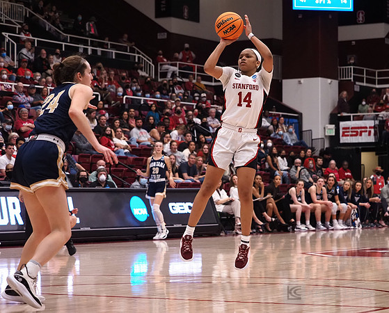 NCAA Womens Basketball: NCAA Tournament - First Round-Montana St. at Stanford