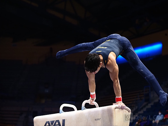 Noah Newfeld
