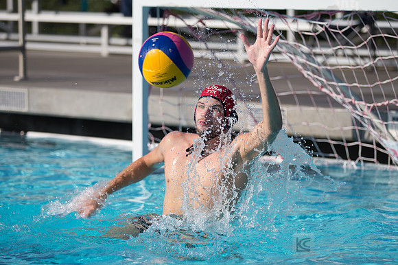 USAWP: Mens National Team