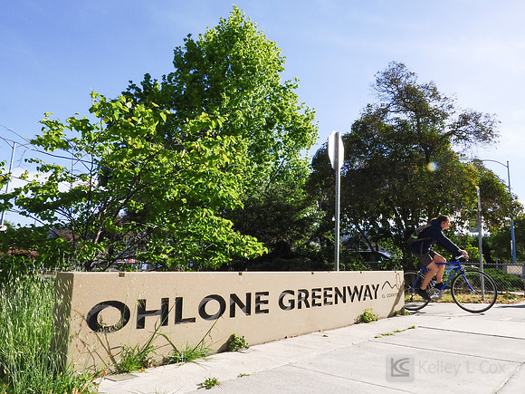 City of El Cerrito: Bike to Wherever Days