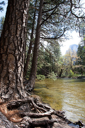 Yosemite 2011