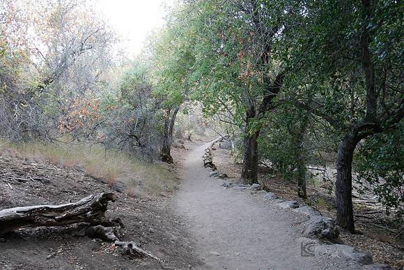 Pinnacles
