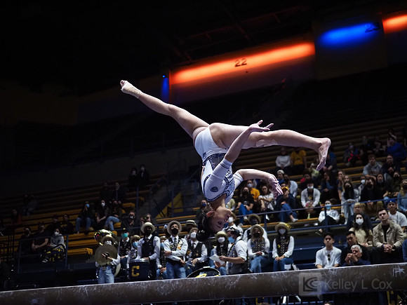 Women’s Gymnastics: California Golden Bears vs Iowa Hawkeyes