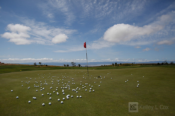 CSUEB: 2014 Golf Classic