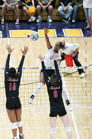 Cal Women's Volleyball vs Stanford
