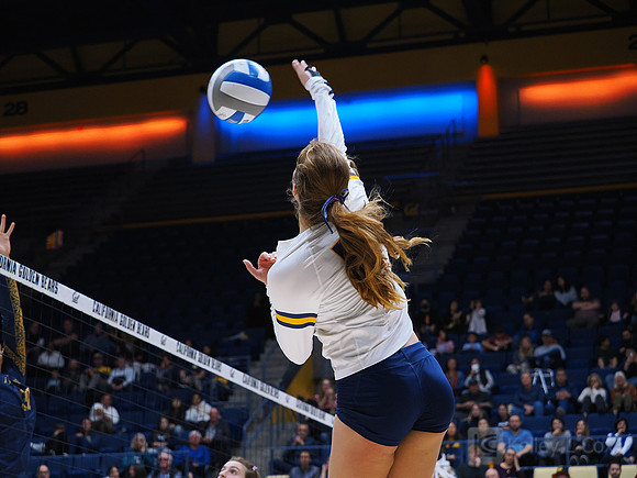 Volleyball: California Golden Bears vs Notre Dame Fighting Irish