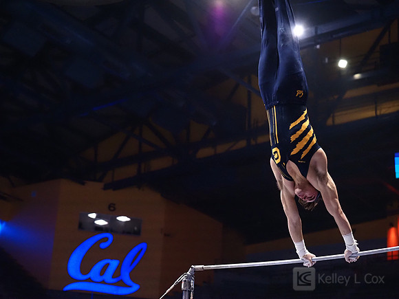 Collin Cunane