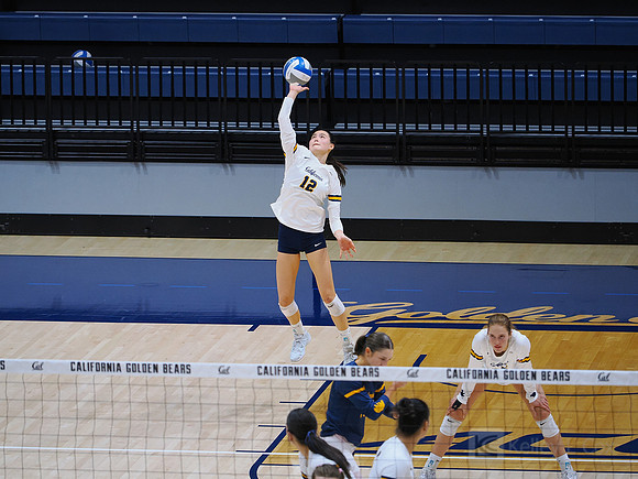 Volleyball: California Golden Bears vs Notre Dame Fighting Irish