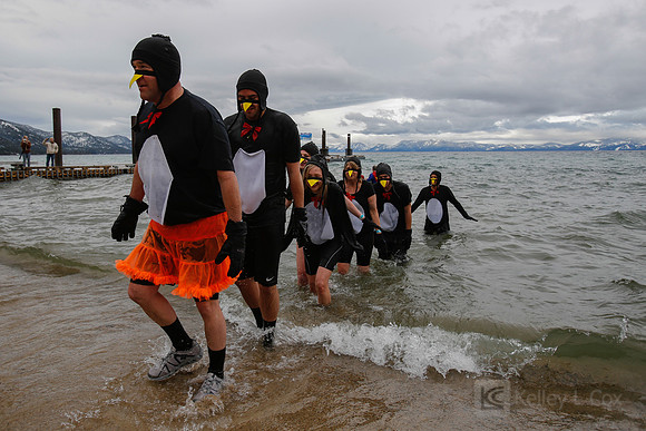North Lake Tahoe Polar Plunge