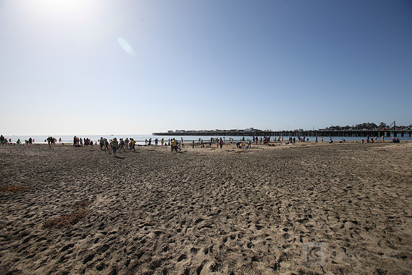 Santa Cruz Polar Plunge