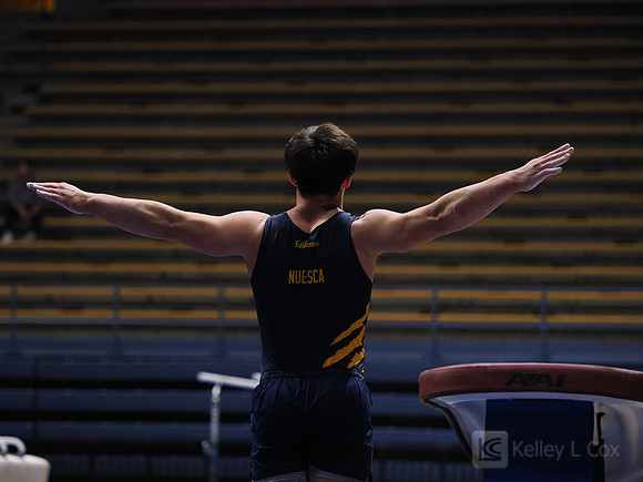 Men’s Gymnastics: California Golden Bears vs Stanford Cardinal