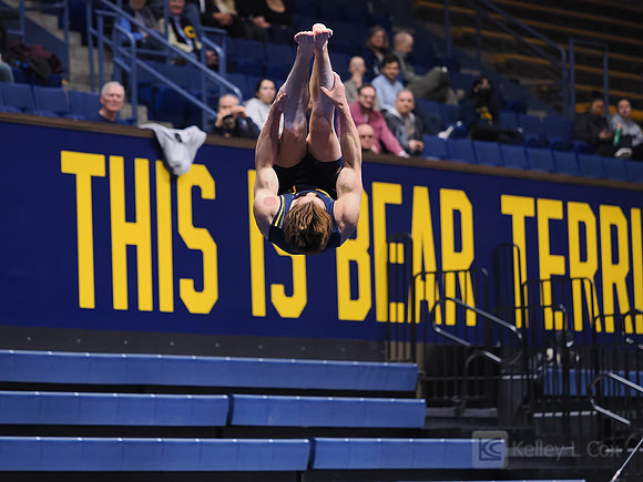 Men’s Gymnastics: California Golden Bears vs Stanford Cardinal
