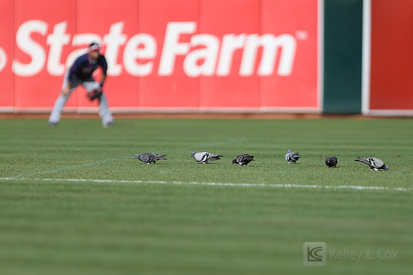 MLB: Minnesota Twins at Oakland Athletics