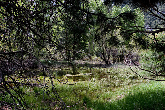 Yosemite 2011