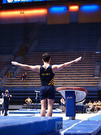 David Rauchwerger