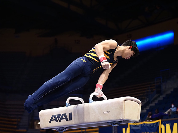 Noah Newfeld