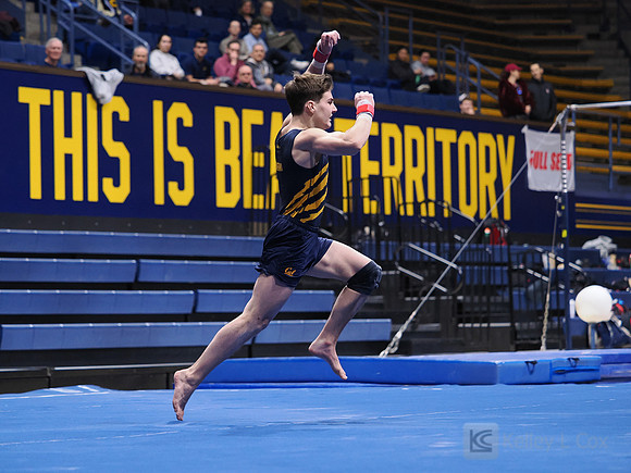 Men’s Gymnastics: California Golden Bears vs Stanford Cardinal