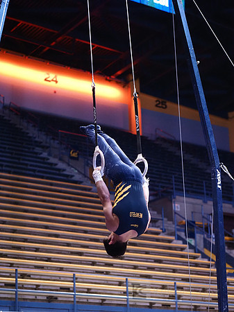 Noah Newfeld