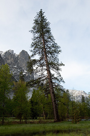 Yosemite 2011