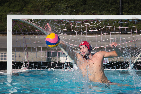 USAWP: Mens National Team