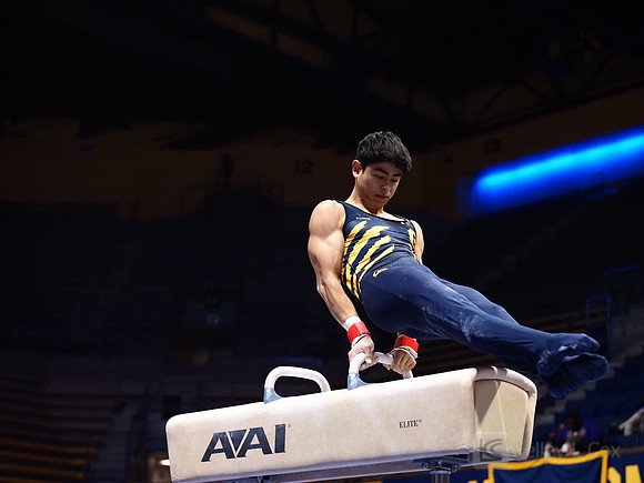 Noah Newfeld