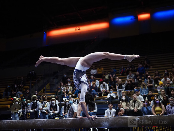 Women’s Gymnastics: California Golden Bears vs Iowa Hawkeyes
