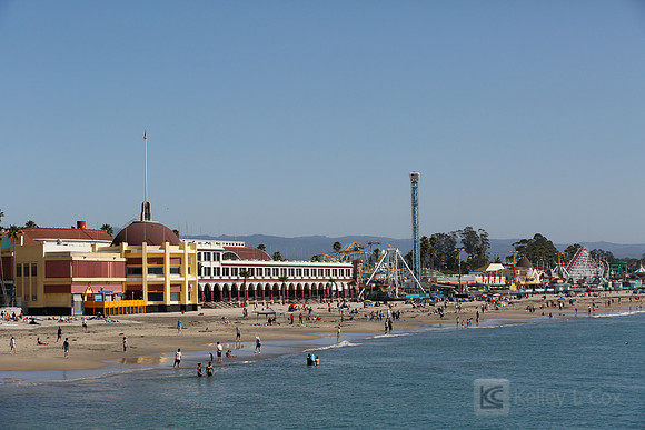 Santa Cruz Polar Plunge