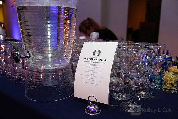 Blue and Gold Bash