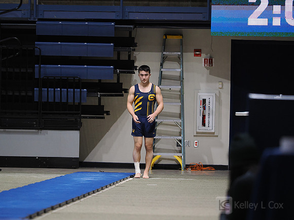 Men’s Gymnastics: California Golden Bears vs Stanford Cardinal