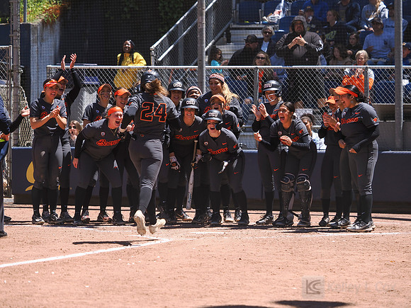 Softball: California Golden Bears vs Oregon State Beavers