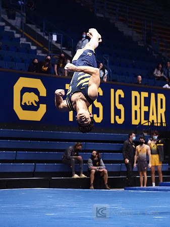 Noah Newfeld