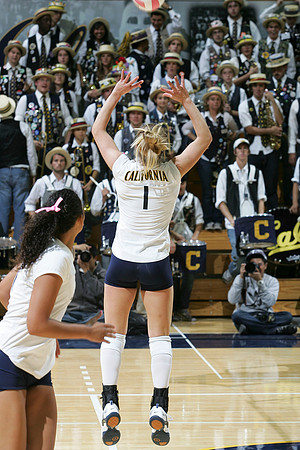 Cal Volleyball vs Arizona State