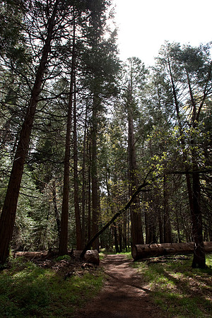 Yosemite 2011