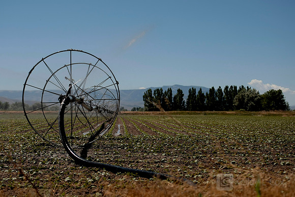 Idaho