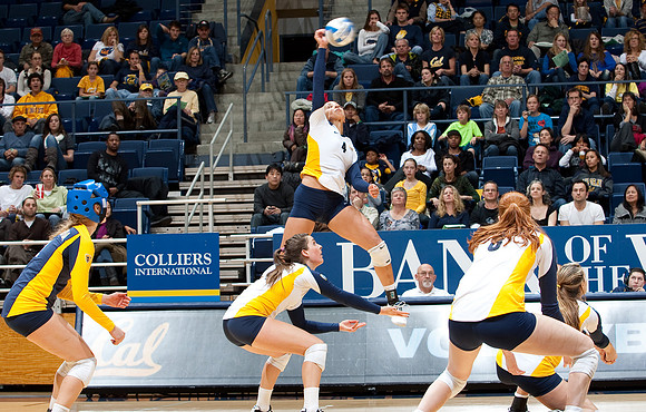 Cal Volleyball vs ASU