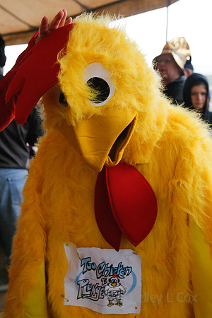 SONC: Polar Plunge Sacramento