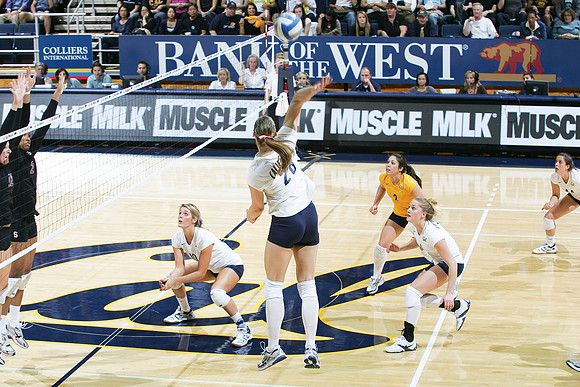 Cal Women's Volleyball vs Stanford