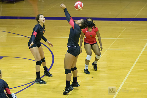 Volleyball: Berkeley at Piedmont
