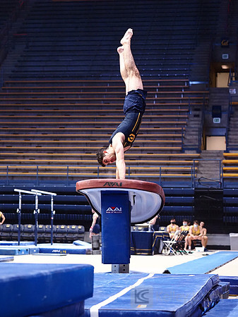 David Rauchwerger