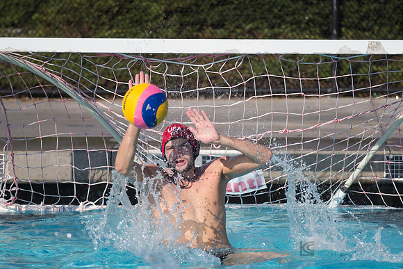 USAWP: Mens National Team