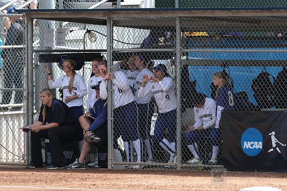Softball: Washington vs Cal